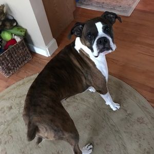 Meet your Posher, Christine